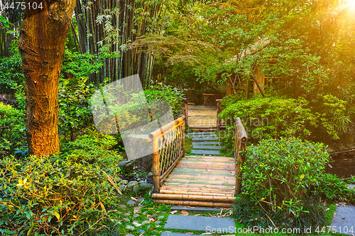 Image of Park in Chengdu, China