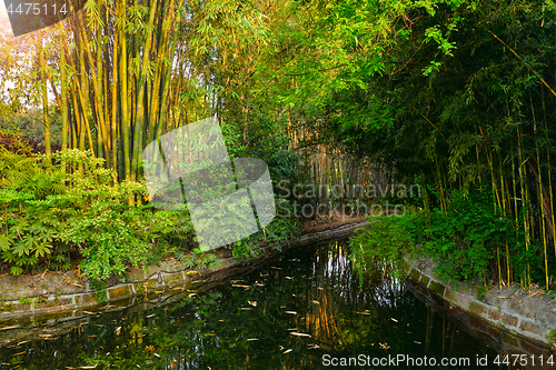 Image of Park in Chengdu, China