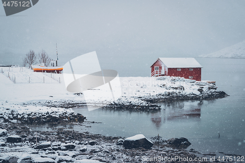 Image of Red rorbu house in winter, Lofoten islands, Norway