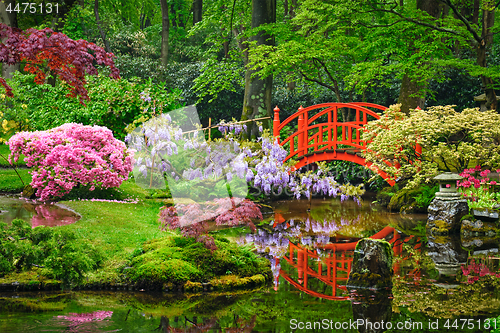 Image of Japanese garden, Park Clingendael, The Hague, Netherlands