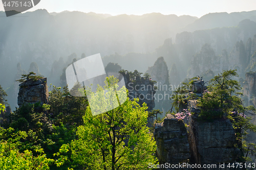 Image of Zhangjiajie mountains, China