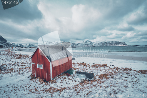 Image of Red rorbu house shed on beach of fjord, Norway