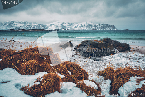 Image of Lofoten islands landscape