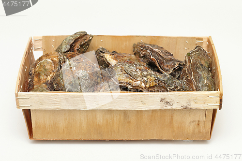 Image of Box of Oysters