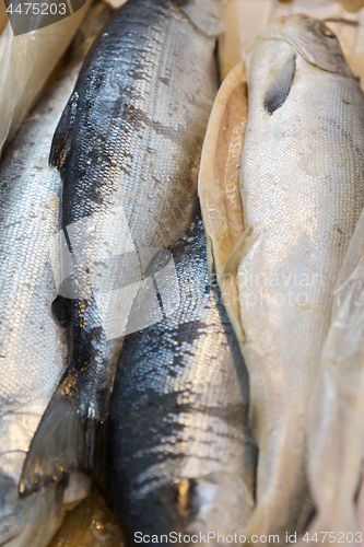 Image of fresh fish or seafood at asian street market