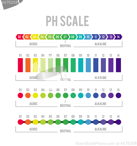 Image of pH meter for measuring acid alkaline balance. Vector infographics in the circle form with pH scale