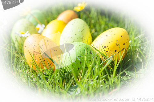 Image of colored Easter eggs hidden in flowers and grass