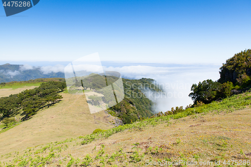 Image of madeira mountain landscape under a blue sky