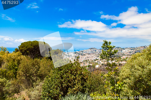 Image of panoramic view of Funchal in Madeira