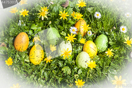 Image of colored Easter eggs hidden in flowers and grass