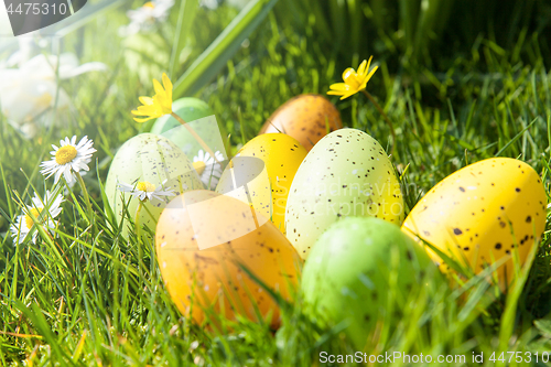 Image of colored Easter eggs hidden in flowers and grass