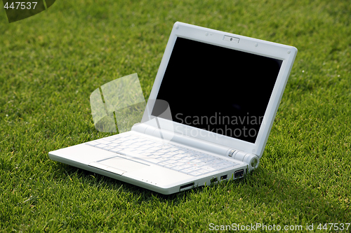 Image of white laptop in nature