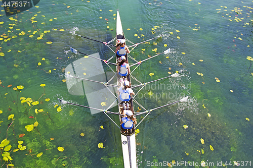 Image of Four Womens rowing team on blue lake, Aerial view