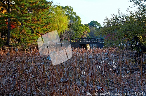 Image of oriental lgarden