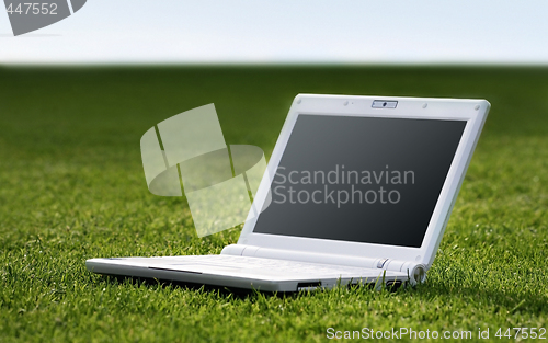 Image of white laptop in nature