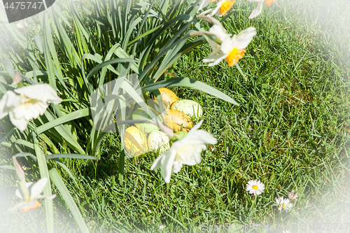 Image of colored Easter eggs hidden in flowers and grass
