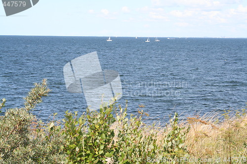 Image of Swedish coastline