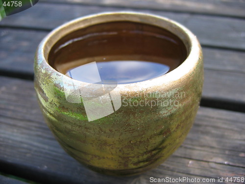 Image of Water in cup