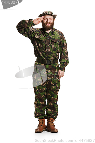 Image of Young army soldier wearing camouflage uniform isolated on white