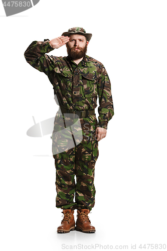 Image of Young army soldier wearing camouflage uniform isolated on white