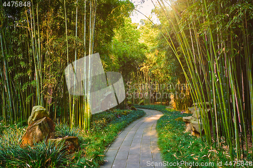 Image of Wangjiang Pavilion in Wangjianglou park. Chengdu, Sichuan, China