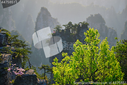 Image of Zhangjiajie mountains, China