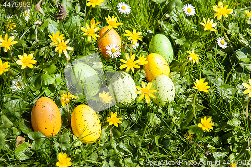 Image of colored Easter eggs hidden in flowers and grass