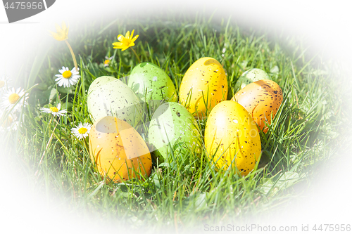 Image of colored Easter eggs hidden in flowers and grass