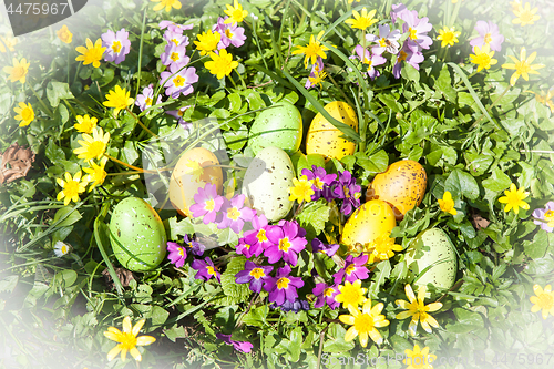 Image of colored Easter eggs hidden in flowers and grass