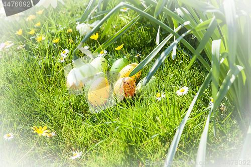 Image of colored Easter eggs hidden in flowers and grass