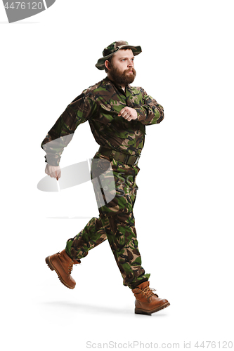 Image of Young army soldier wearing camouflage uniform isolated on white