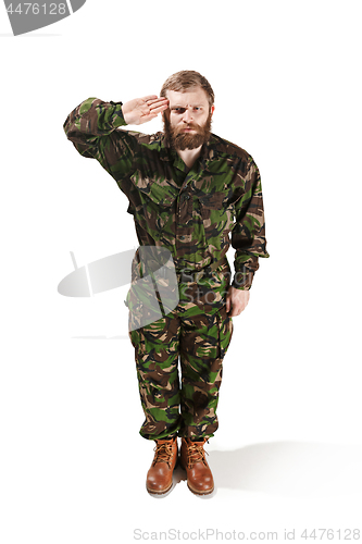 Image of Young army soldier wearing camouflage uniform isolated on white