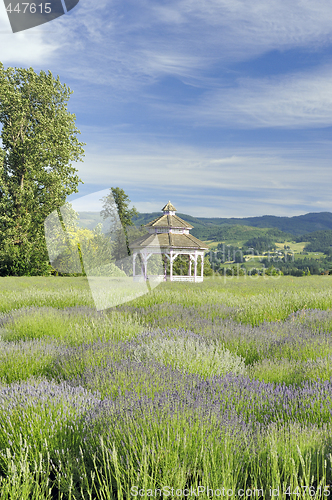 Image of Lavender Farm Gazebo