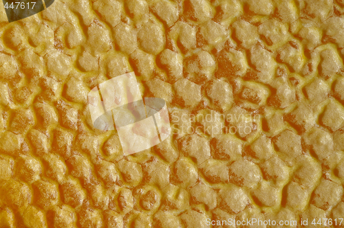 Image of Real Capped Honeycomb macro