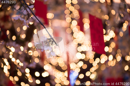 Image of traditional Japanese wishing tree