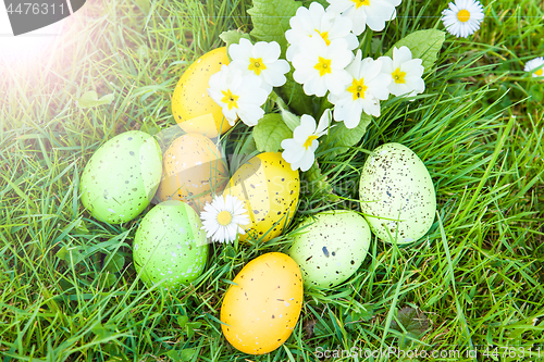 Image of colored Easter eggs hidden in flowers and grass