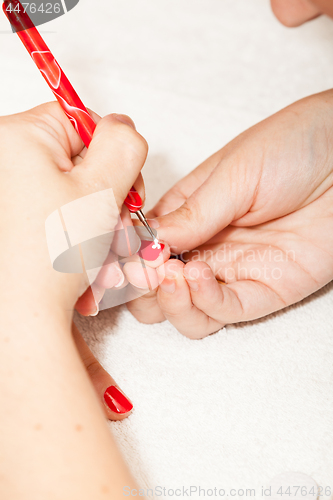 Image of The esthetician decorates with flowers the nails of the hands of the client