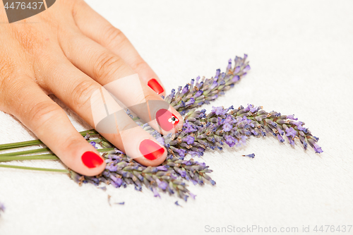 Image of Hands of a woman with red nail polish posed by an esthetician