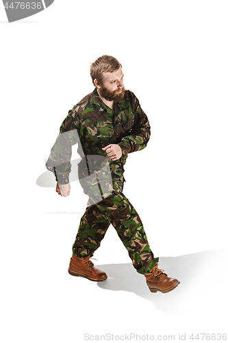 Image of Young army soldier wearing camouflage uniform isolated on white