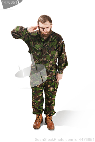 Image of Young army soldier wearing camouflage uniform isolated on white