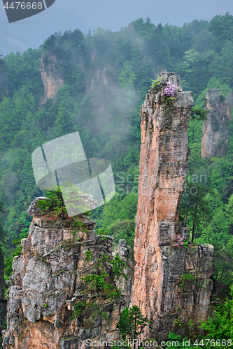 Image of Zhangjiajie mountains, China