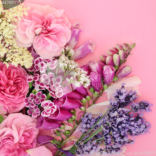 Image of Beautiful Summer Flowers   