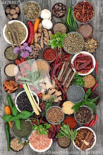 Image of Spice and Herb Collection