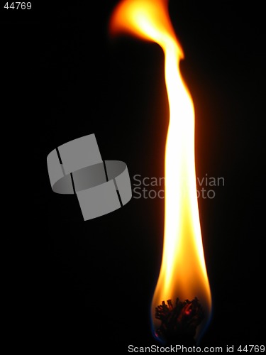 Image of Fire
