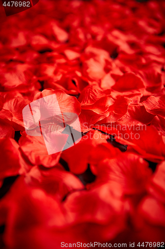 Image of Background of beautiful red rose petals. Top view