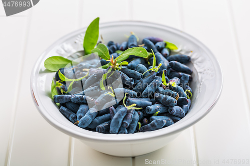 Image of Delicious and healthy honeyberry (lonicera)