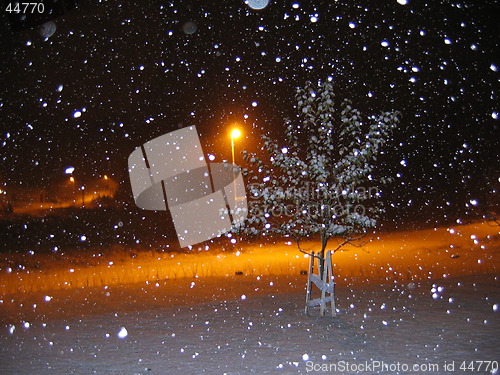 Image of Snow