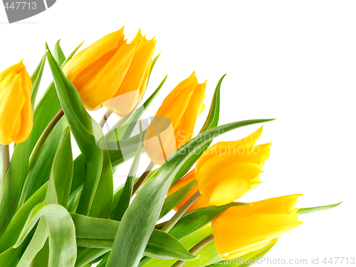 Image of Bouquet