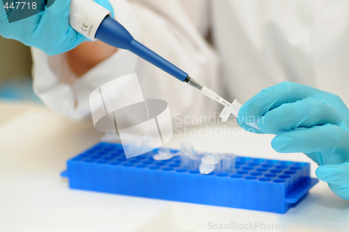 Image of Working in the laboratory