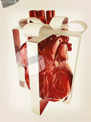 Image of Red human heart with ribbon. Donor concept. 3d illustration. Vin